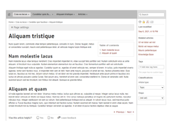 Old Framework: Article page