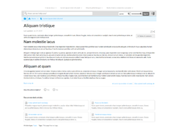 New framework article page